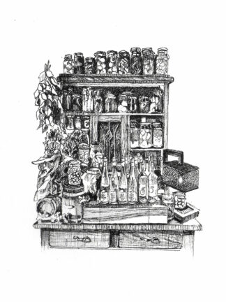 balthazar - Melissa Leite - Carnet de cantine