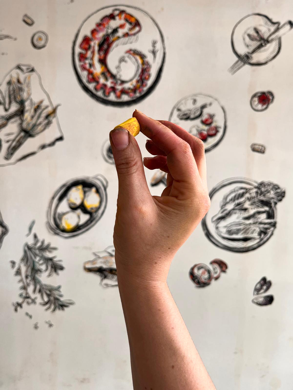 melissa leite carnet de cantine fresque